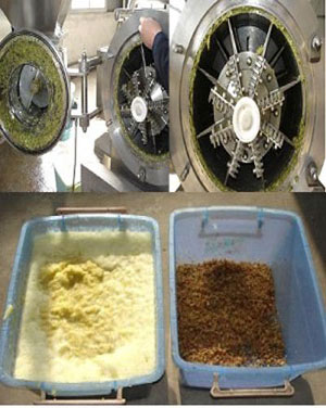 process of fruit pulping 