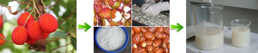 production process of lychee juice