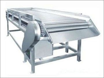 Fruit Sorting Machine