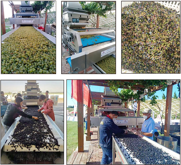 AGICO project of grape juice processing line