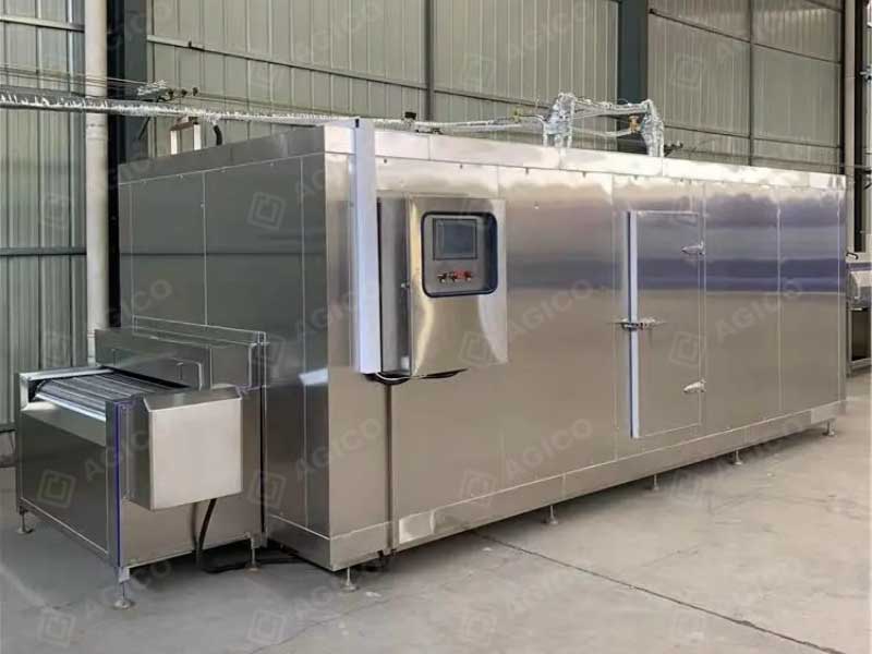 IQF Tunnel Freezer