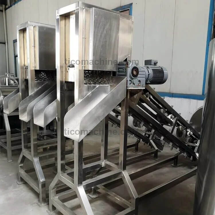 automatic tender coconut cutting machine