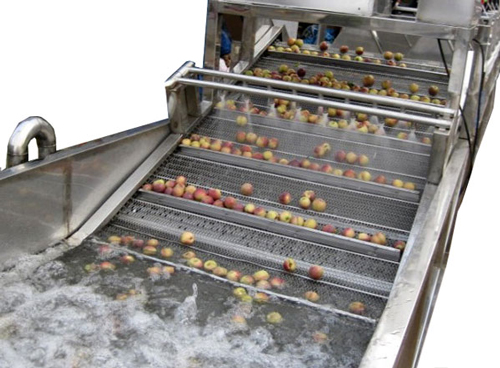 Fruit washer machine plays a vital role in fruit processing line