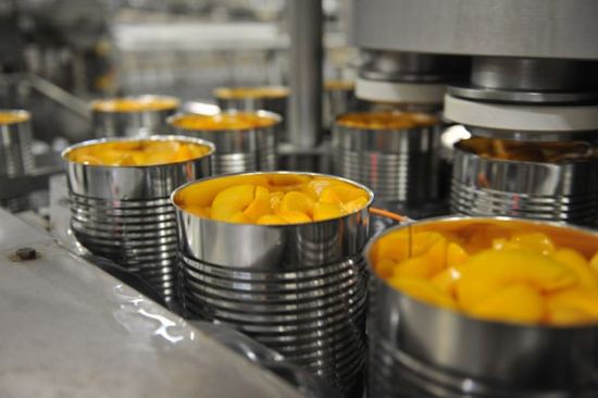 canned fruit processing technology