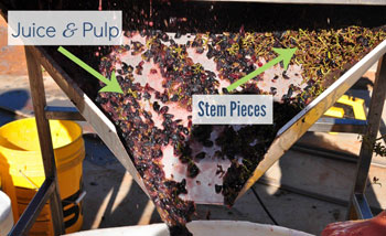 grape stem and pulp from stemmer crusher