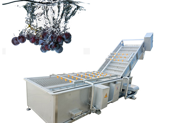 Grape Fruit Surfing Washing Machine