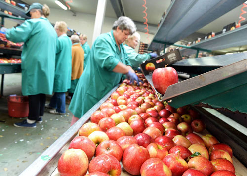 Apple fruit juice production line