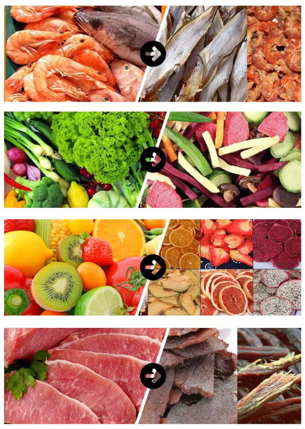 mesh belt food drying machine