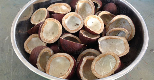 Coconut Copra Cutting Machine