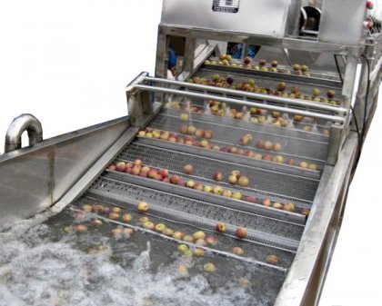 Indian Customers Order for Fruit Bubble Washing Machine
