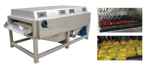 Brush and Spray Fruit Cleaning Machine