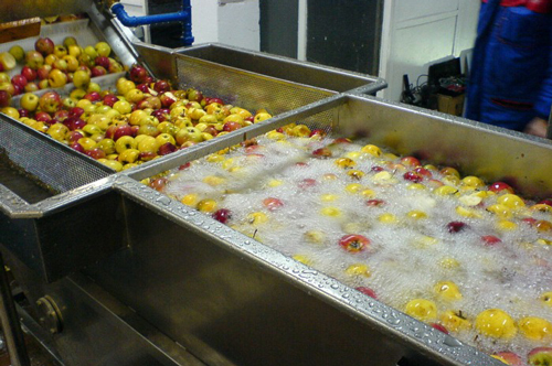 How to wash fruits? What is fruit washer machine?