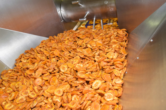 Dehydrated fruit processing machinery
