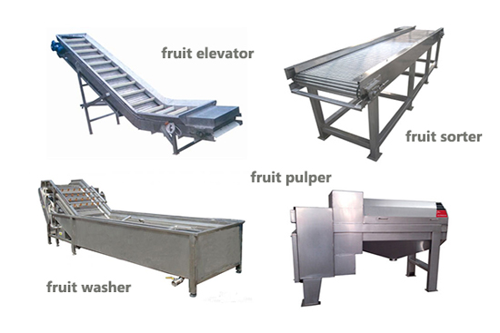 fruit processing machineries