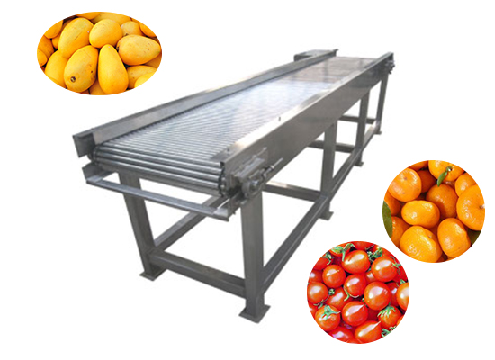 fruit sorter can sort spherical and oval fruits