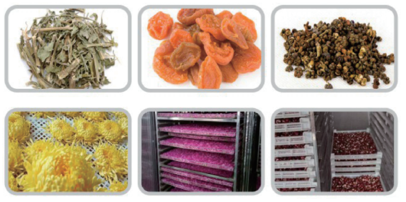 fruit vegetable drying