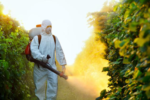 fruit washer can remove the pesticide residue on fruits