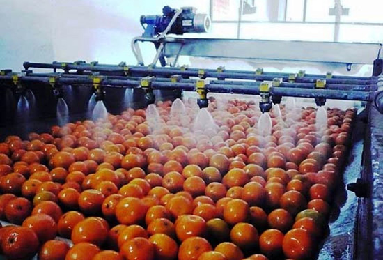 Fruit And Vegetable Washing Machine Operation Manufacturing Process