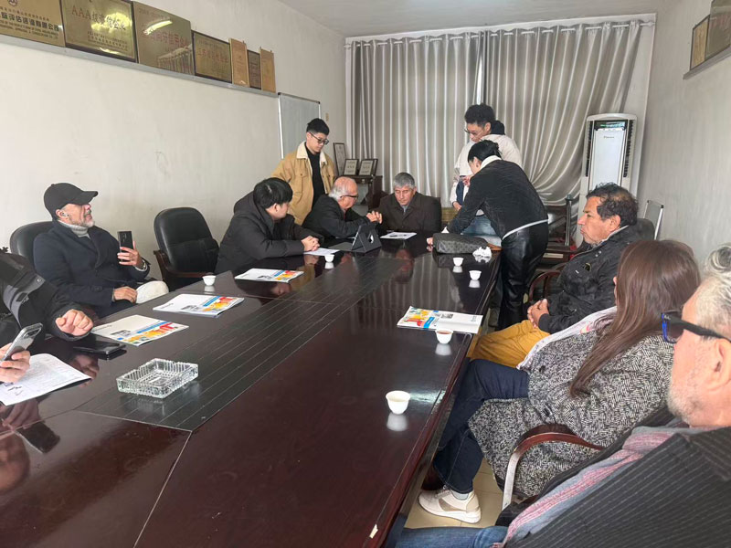 Custom Grape and Mango Fruit Processing Lines in Peru