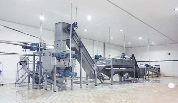 Fruit washer machine plays a vital role in fruit processing line