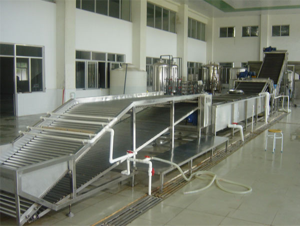 lychee juice and wine processing plant
