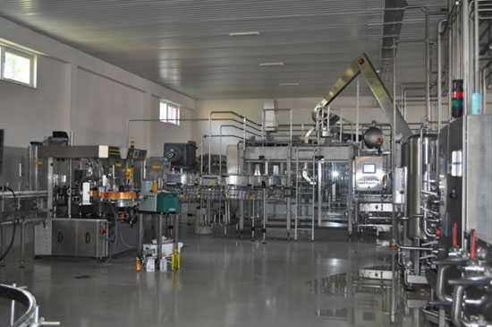 machineries of fruit juice processing line 