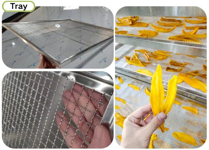 Mango Drying Processing Line