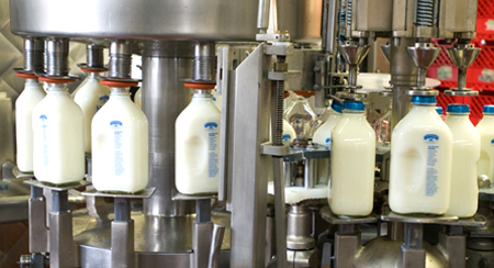 how pasteurization of milk works