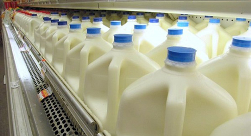 pasteurized milk