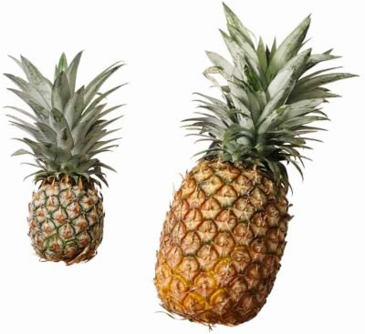 pick out good pineapples