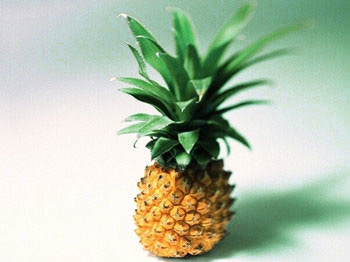 pineapple with long leaves