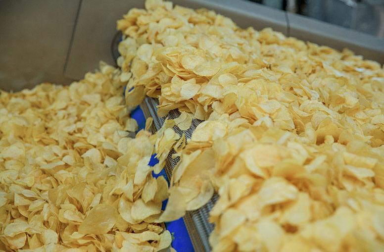 Potato Chips Continuous Frying Machine