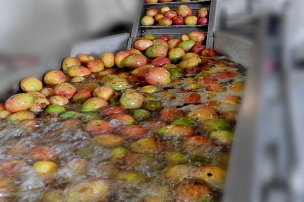 bath fruits in hot water