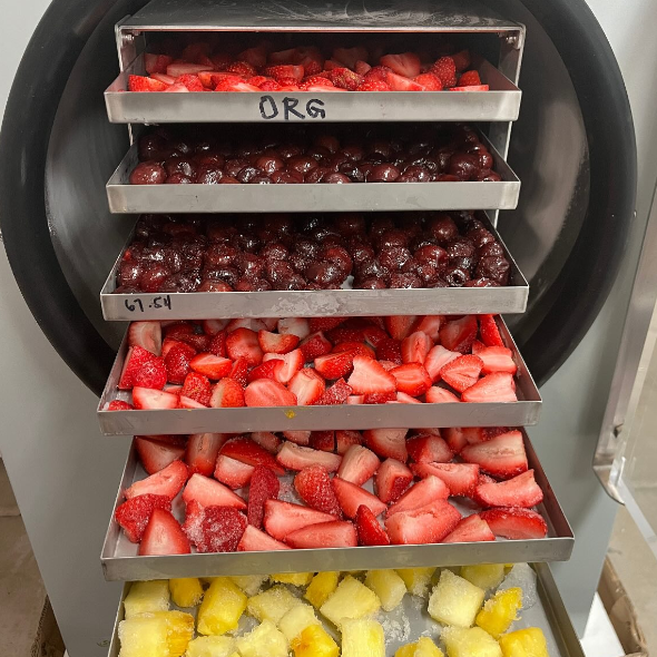 AGICO small food freeze dryer for home use