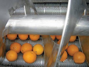 citrus fruit essential oil extractor